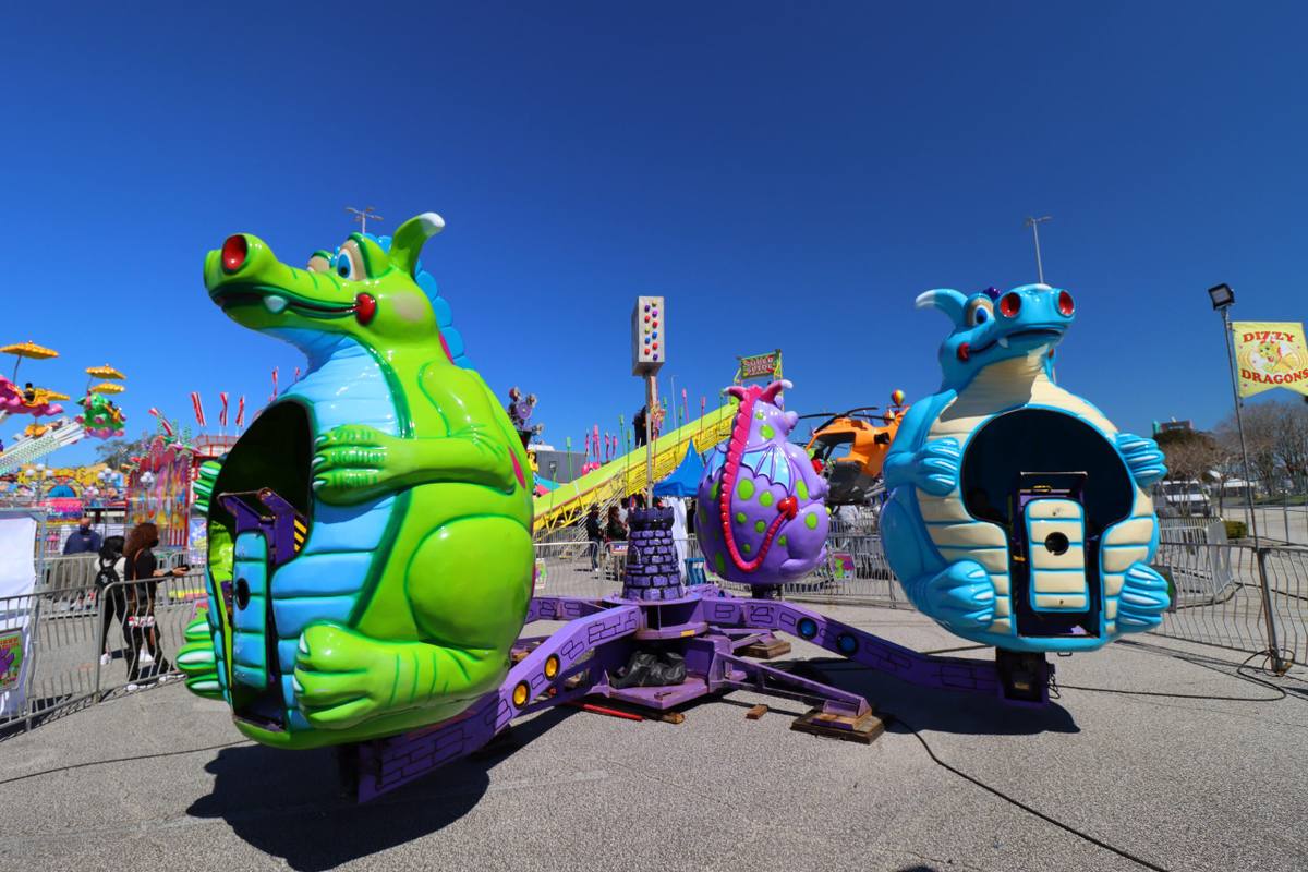 DIZZY DRAGONS