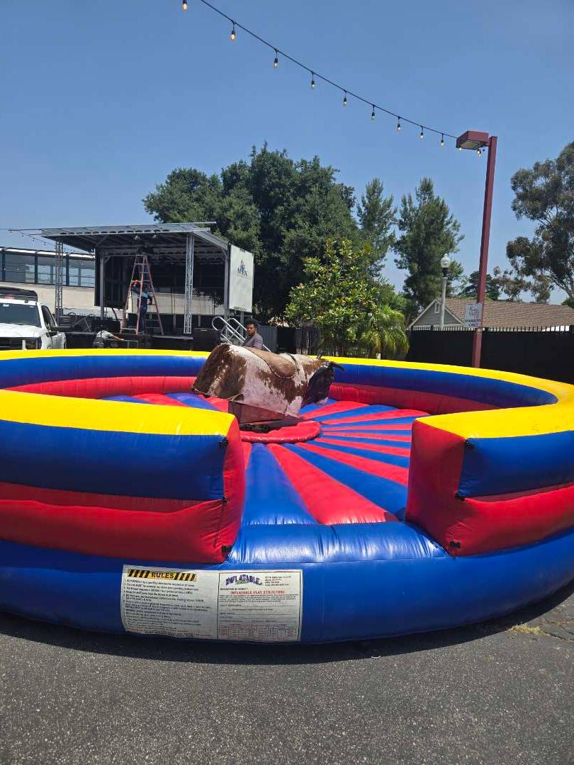 MECHANICAL BULL
